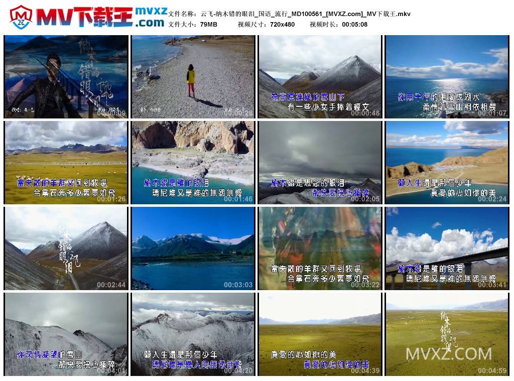 云飞-纳木错的眼泪_国语_流行_MD100561